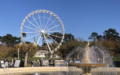 Golden Gate Park Ferris Wheel